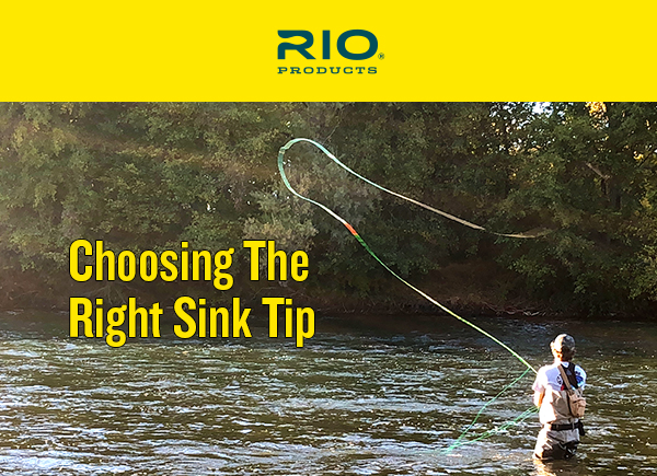 Choosing the Right Fly Line