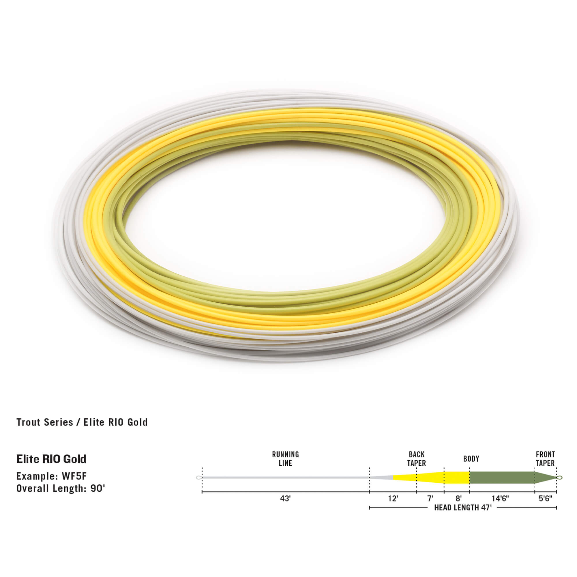 rio gold in touch fly line rio gold in touch fly line