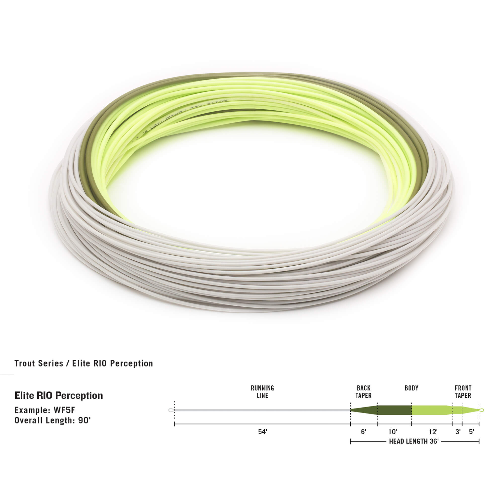 RIO InTouch Perception Floating Fly line OFFICIAL DEALER 