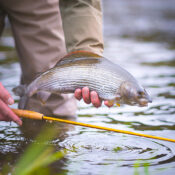 Vision Hero Fly Rod - Guide Flyfishing
