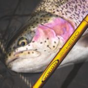 Hero Fly Rod with Rainbow Trout in lake