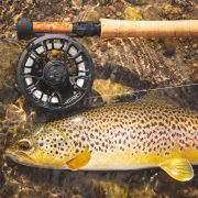 Hero fly reel with brown trout on River Tweed
