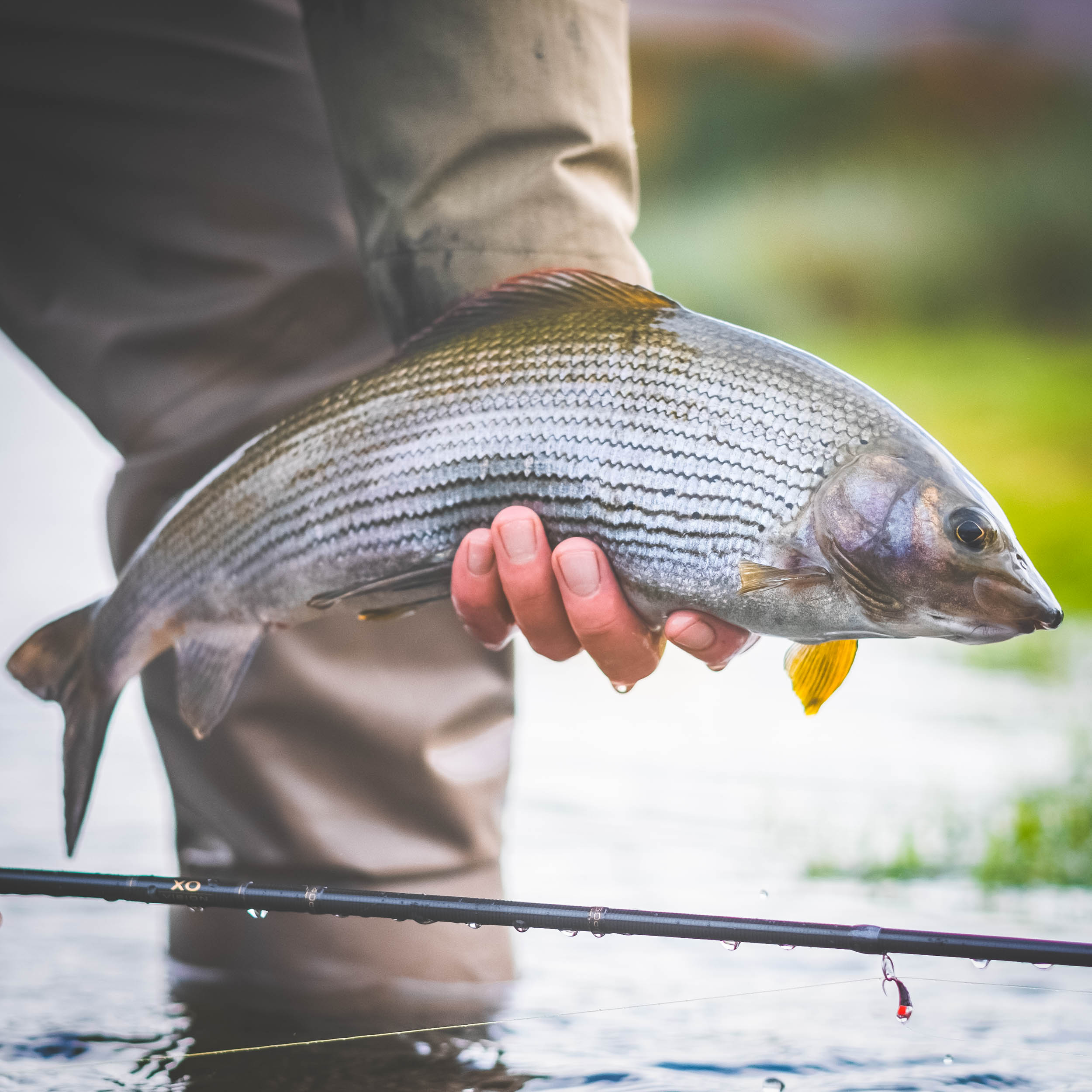 Grayling XO Graphene Nymphing Rod - Guide Flyfishing