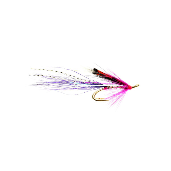 Caledonia Donny's Shrimp P Double - Guide Flyfishing