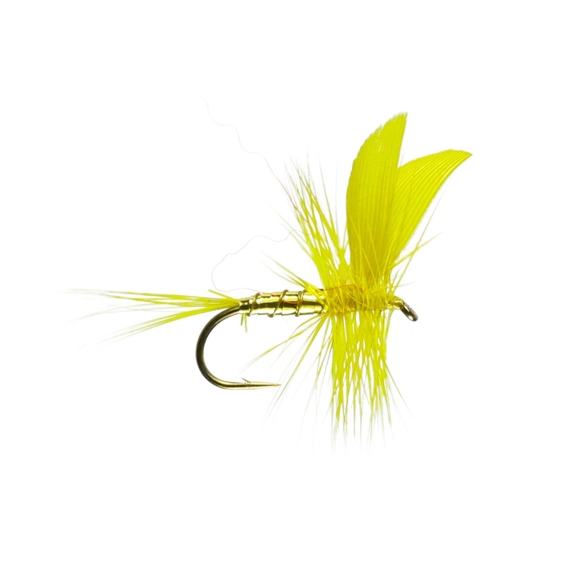 Caledonia Golden Sally W/Dry B/L - Guide Flyfishing