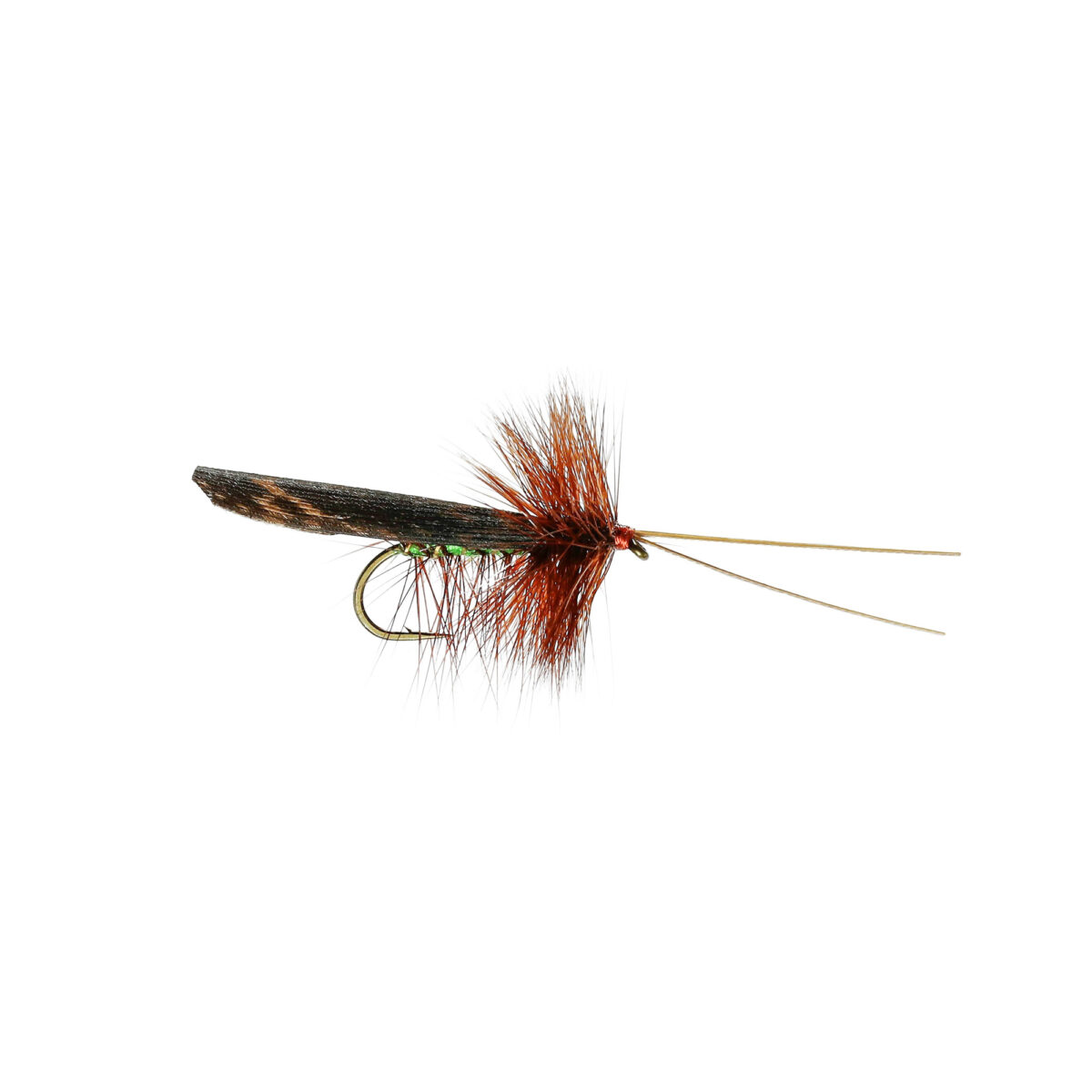 Caledonia Green Peter Murrough Sedge - Guide Flyfishing