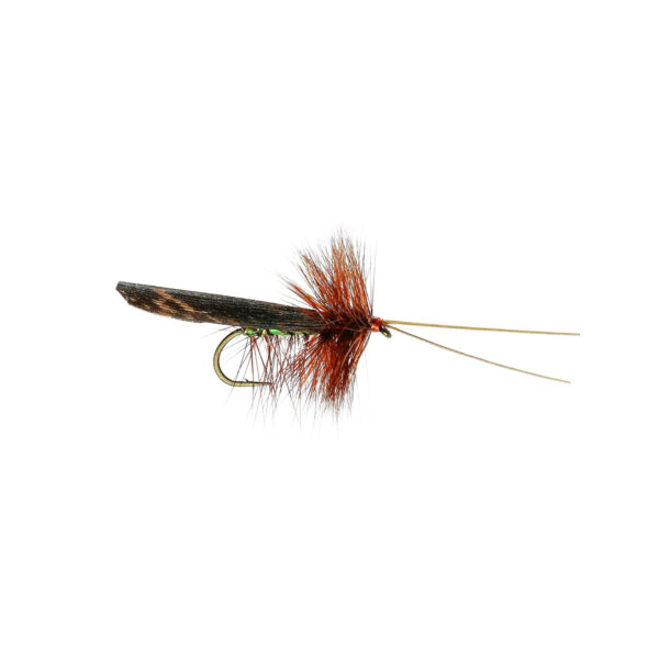 Caledonia Green Peter Murrough Sedge - Guide Flyfishing