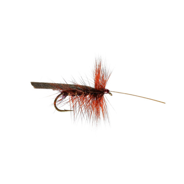 Caledonia Claret Murrough Sedge - Guide Flyfishing