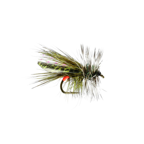 Caledonia Seducer Sooty Olive Sedge - Guide Flyfishing