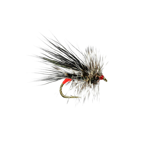 Caledonia Seducer Black Sedge - Guide Flyfishing