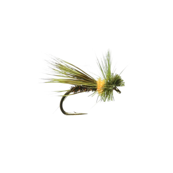 Caledonia Olive Drop Sedge - Guide Flyfishing