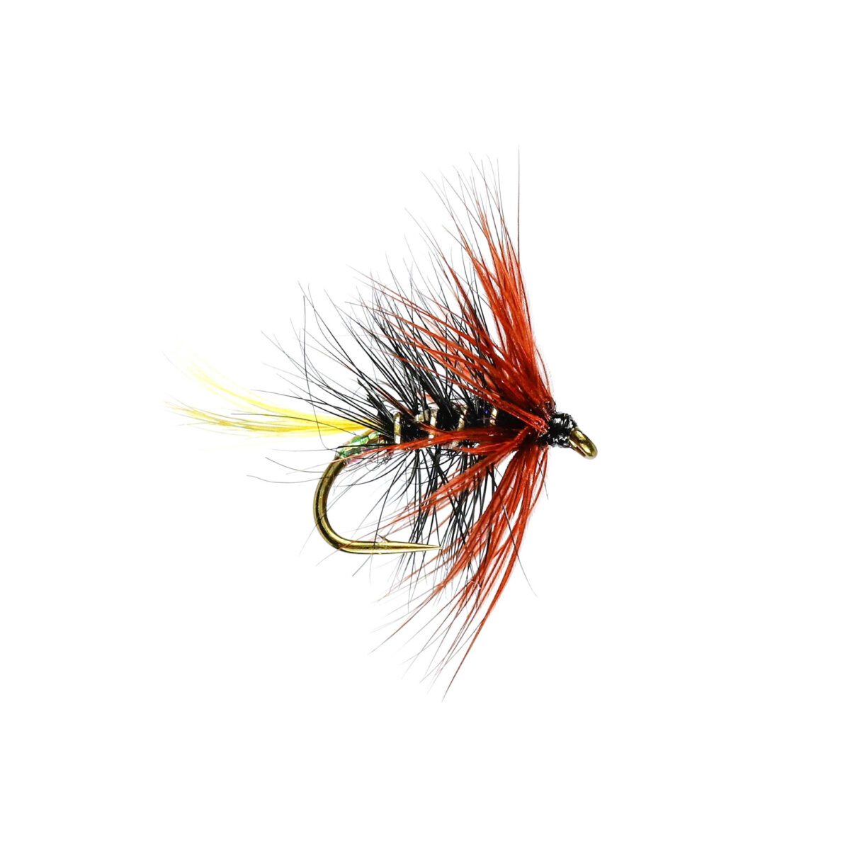 Caledonia Uv Kate H/W - Guide Flyfishing