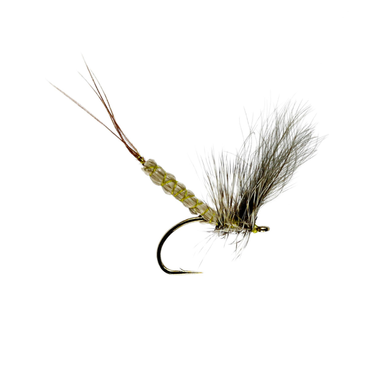 Caledonia Detached Cfc Dun Mayfly - Guide Flyfishing