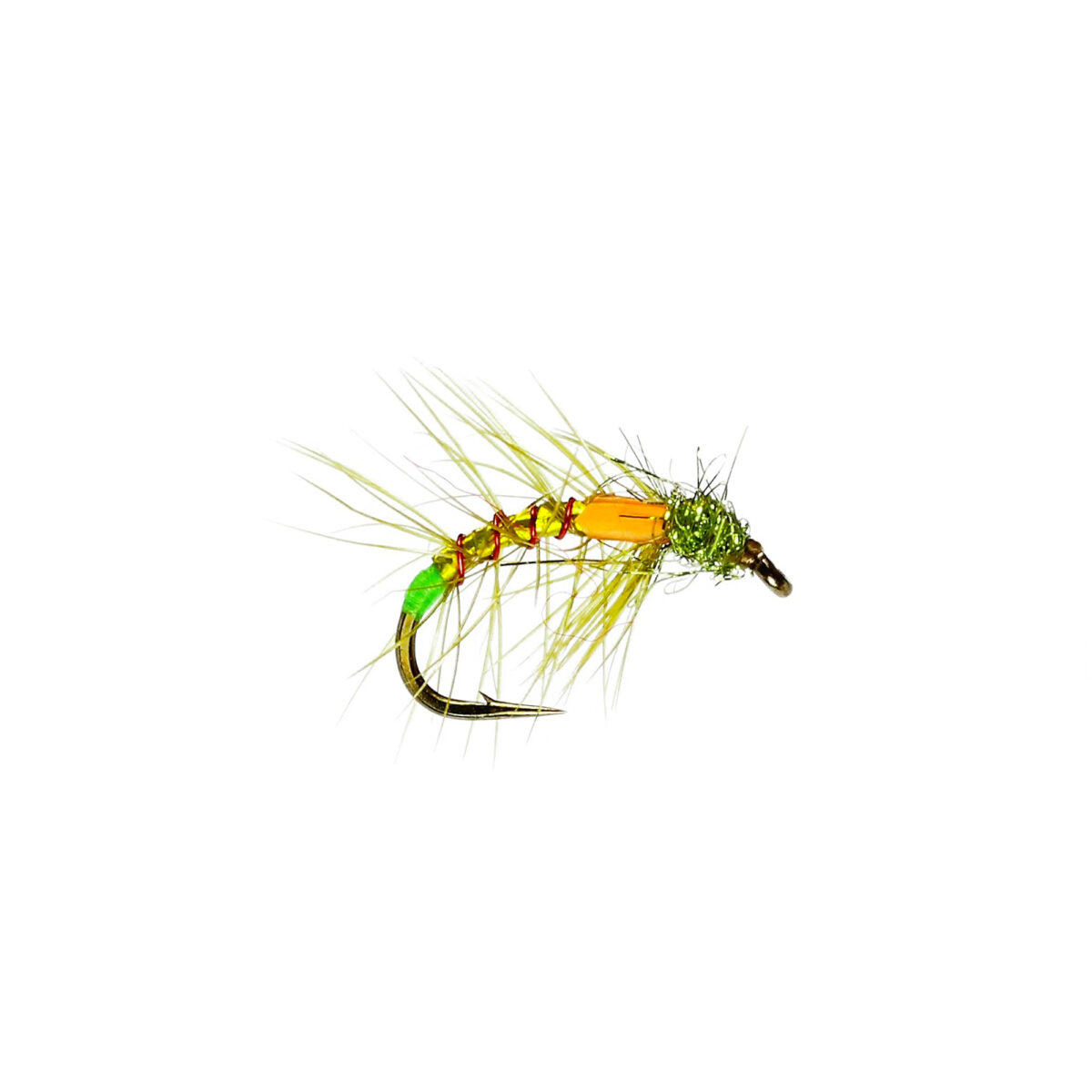 Caledonia Olive Snatcher - Guide Flyfishing