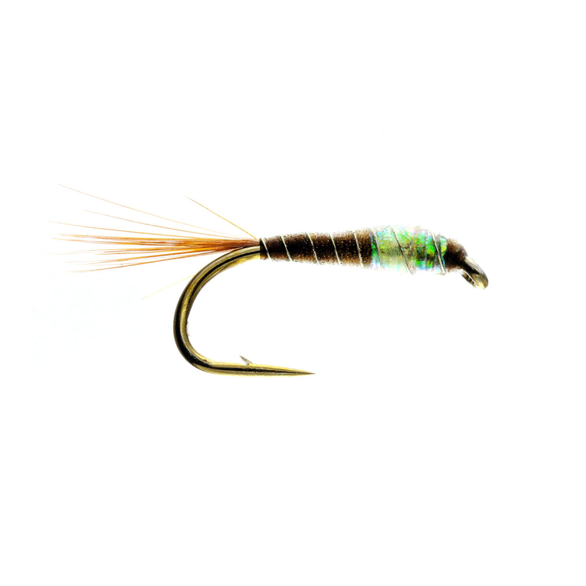Caledonia Ptn Fry Nymph (U/W) - Guide Flyfishing