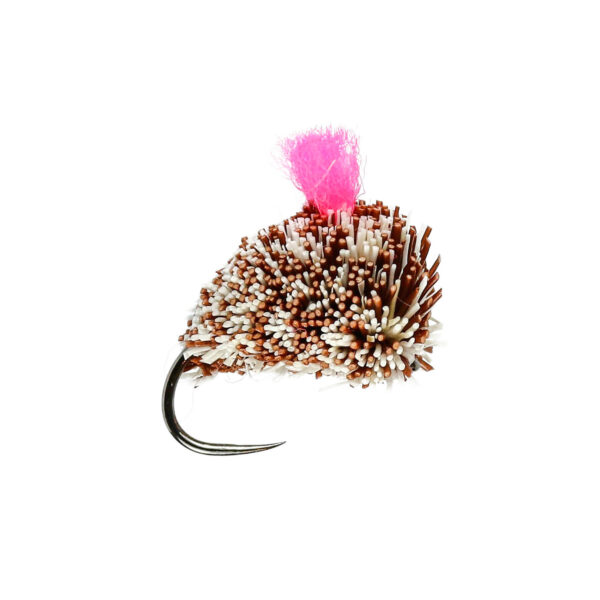 Caledonia Carp Dog Biscuit B/L - Guide Flyfishing