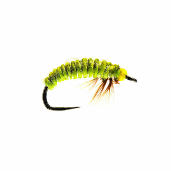 Caledonia Rhyacophila Larva Czech Nymph B/L - Guide Flyfishing
