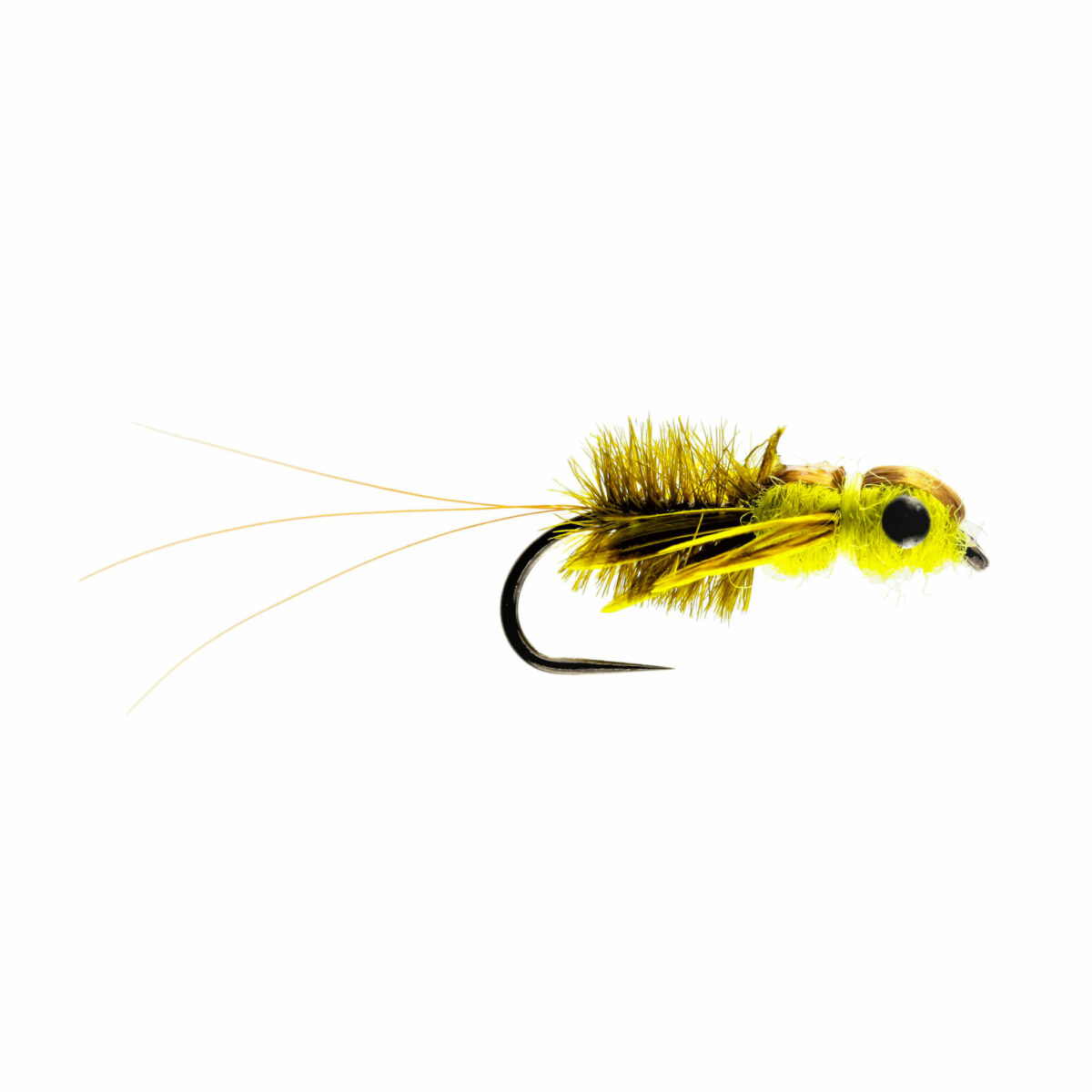 Caledonia Heptagenid Stone Fly Nymph B/L - Guide Flyfishing