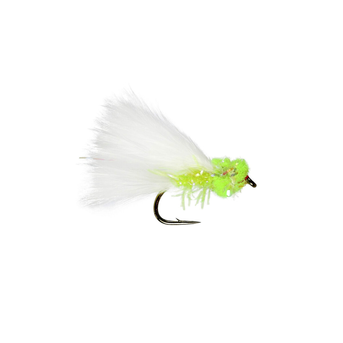 Caledonia Wild Cat - Guide Flyfishing