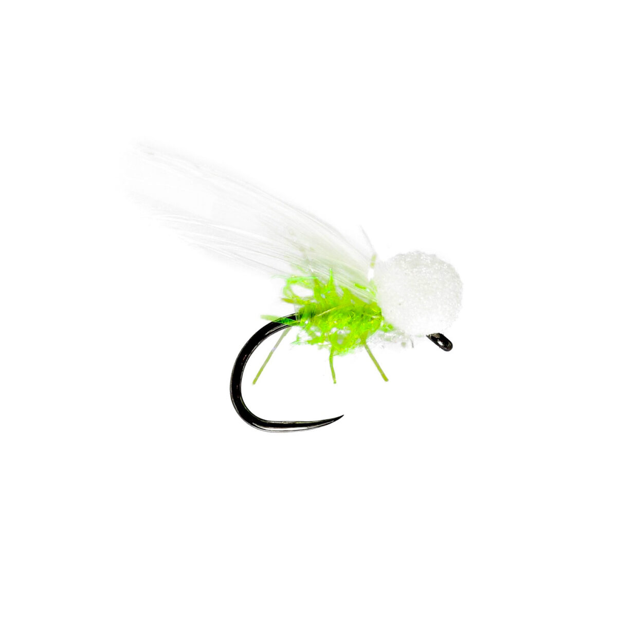 Caledonia "c" - CAT BOOBY B/L - Guide Flyfishing