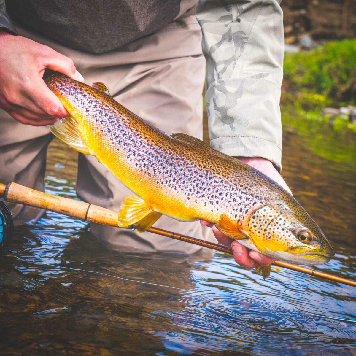 Vision Rivermaniac Fly Rod - Guide Flyfishing