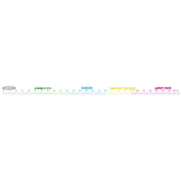 Vision Fish Measure Sticker - Guide Flyfishing