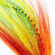 Vision Parrot Pike Fly - Guide Flyfishing