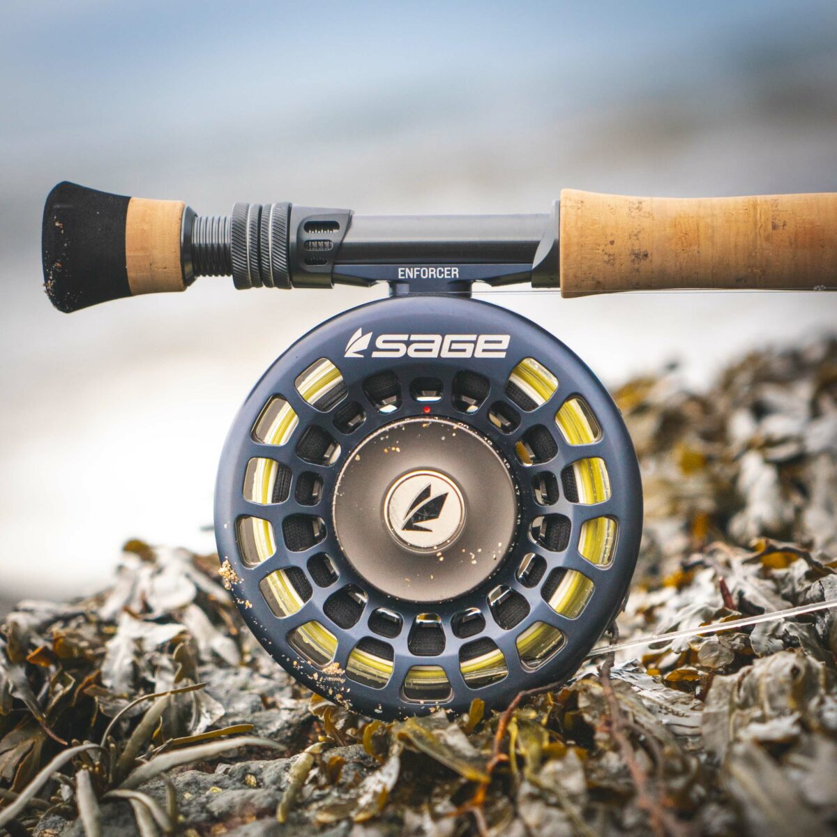 Demo Sage Salt R8 Fly Rod - Guide Flyfishing