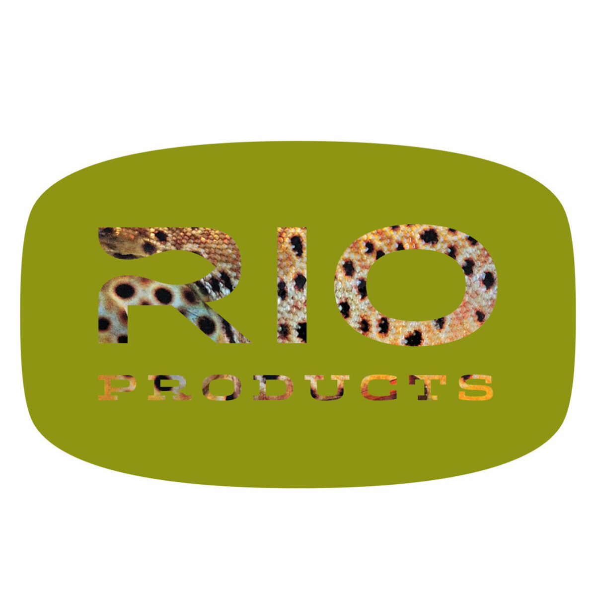 RIO BROWN TROUT STICKER - Guide Flyfishing