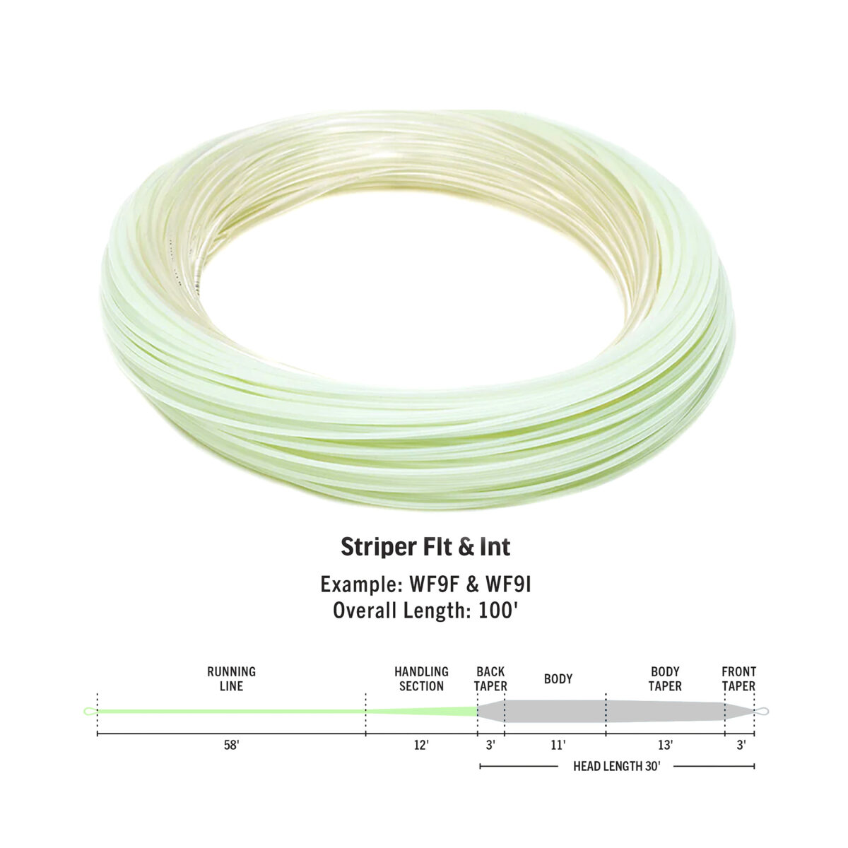 RIO Premier Striper Fly Line - Guide Flyfishing