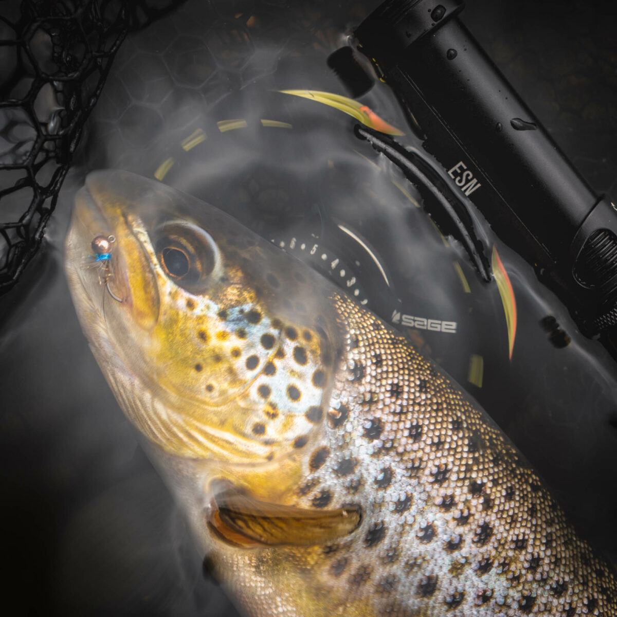 Demo Sage ESN Fly Rod - Guide Flyfishing
