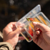Caledonia Autumn Salmon Selection - Guide Flyfishing
