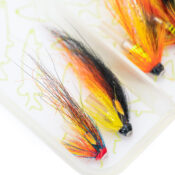 Caledonia Low Water Salmon Selection - Guide Flyfishing