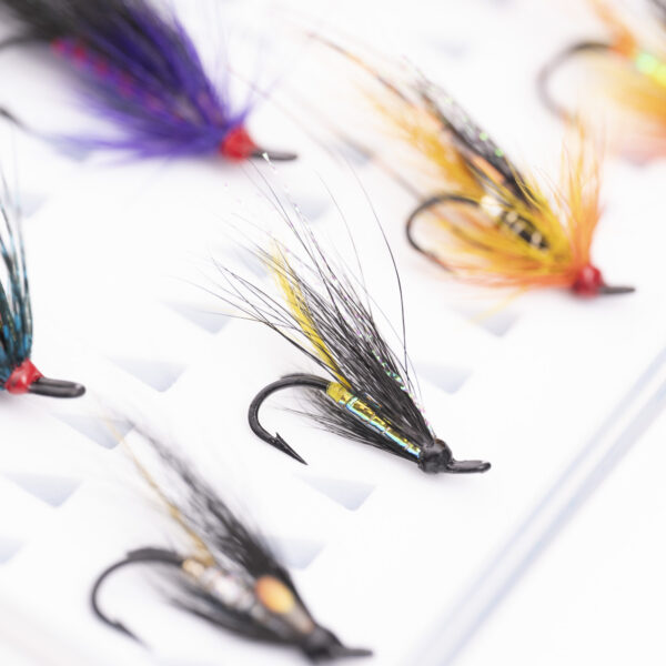 Caledonia Summer Double Selection - Guide Flyfishing
