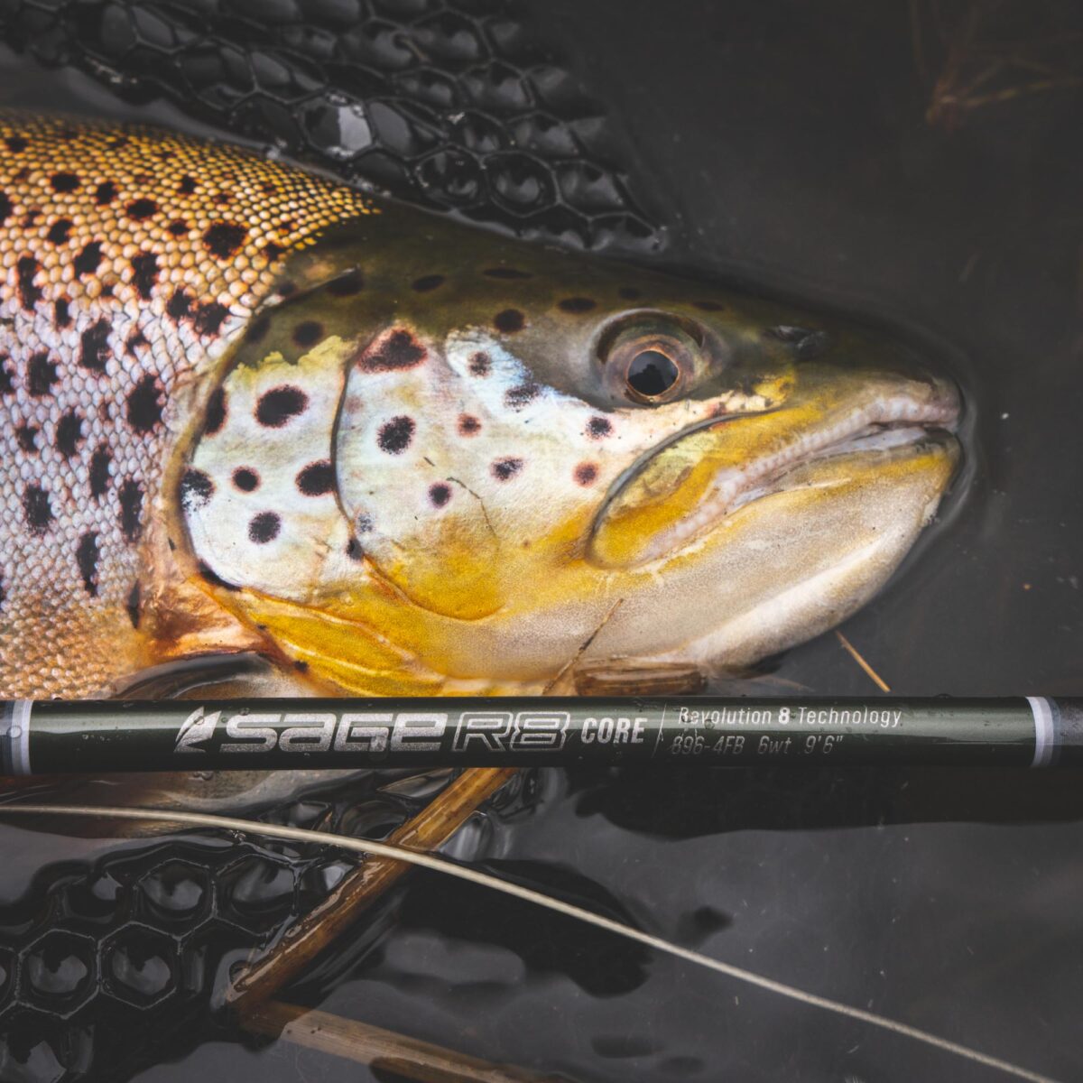 Demo Sage R8 Core Fly Rod - Guide Flyfishing