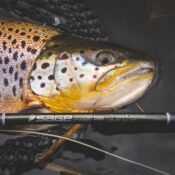 Demo Sage R8 Core Fly Rod - Guide Flyfishing