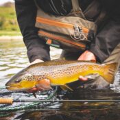 Demo Sage R8 Core Fly Rod - Guide Flyfishing