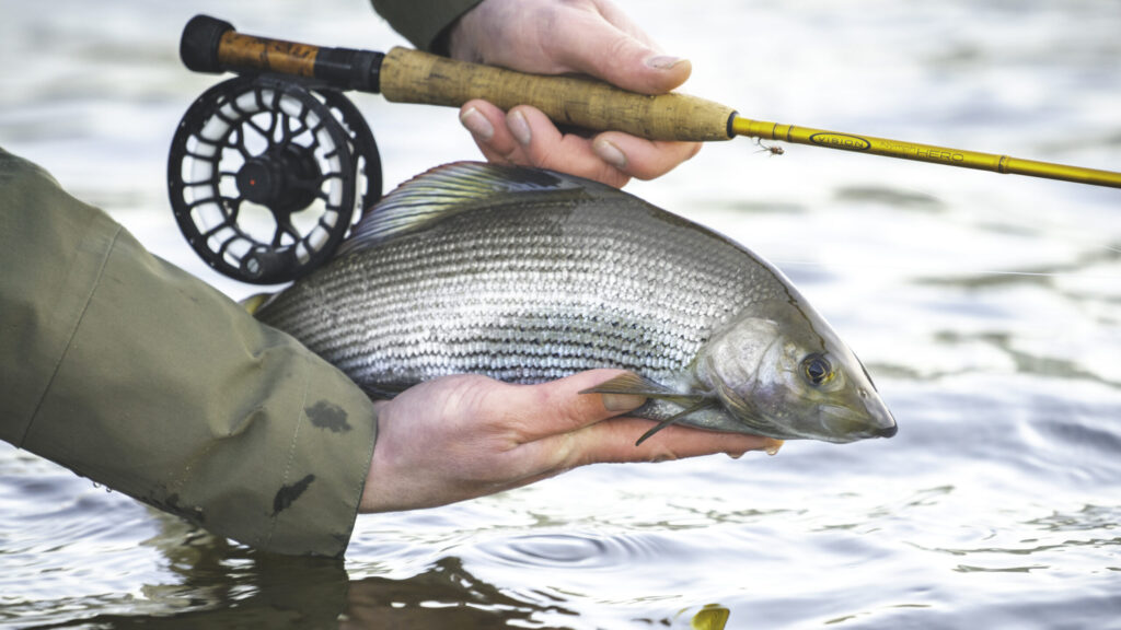 Vision Hero Nymph Rod - Guide Flyfishing