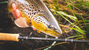 Sage R8 Core Review: Part 1 - Guide Flyfishing