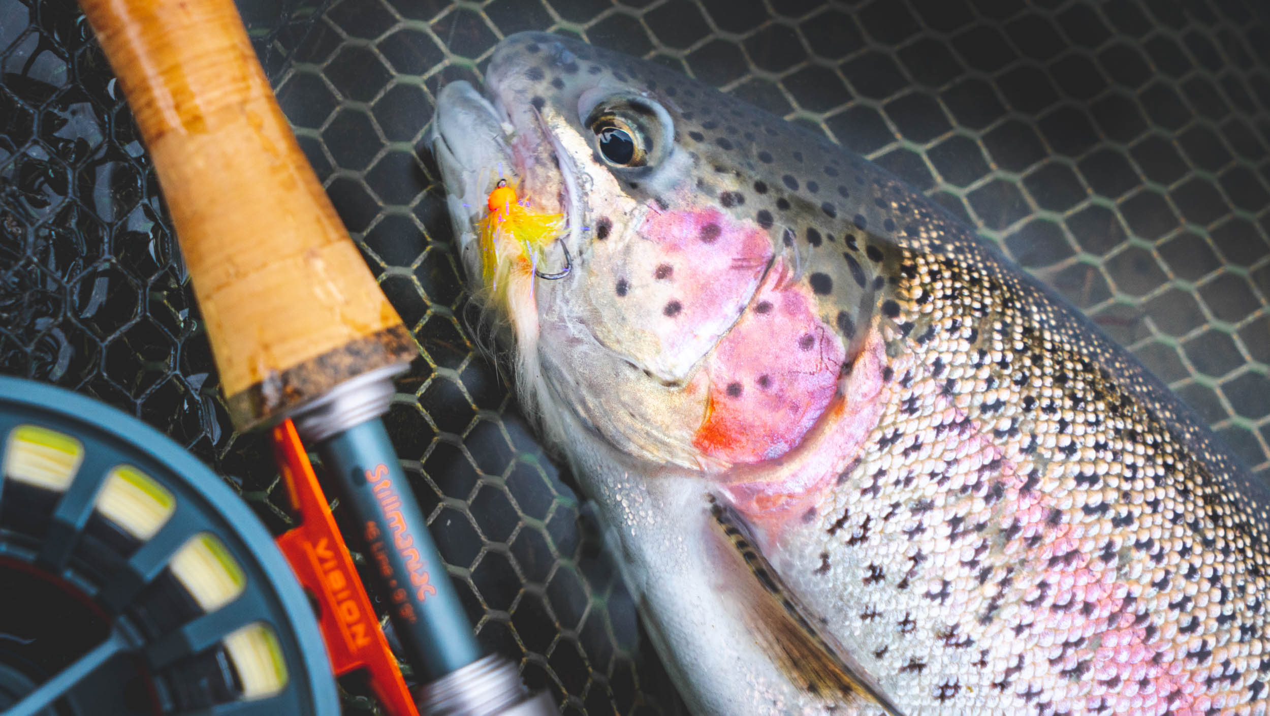 Winter Stillwater Trout Tactics - Guide Flyfishing