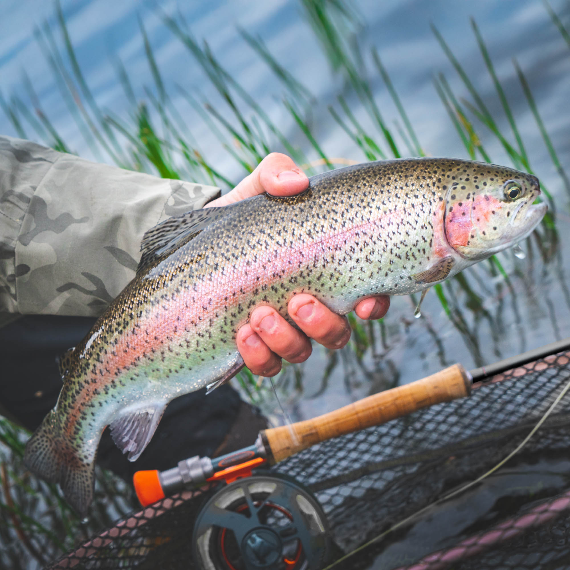 Stillmaniac Best 10′ #7 For Stillwater Fishing - Guide Flyfishing