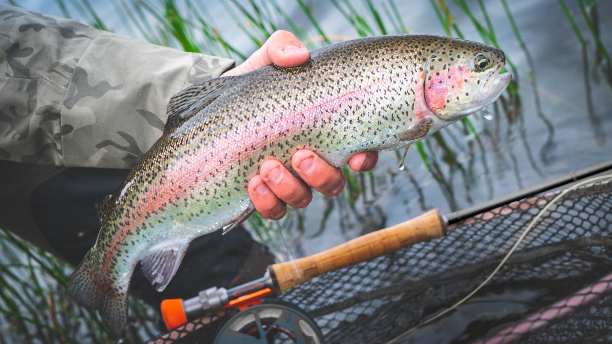 Stillmaniac Best 10′ #7 For Stillwater Fishing - Guide Flyfishing