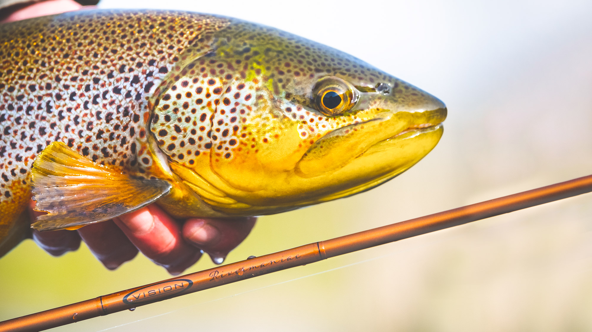 Vision Rivermaniac Fly Rod - Guide Flyfishing