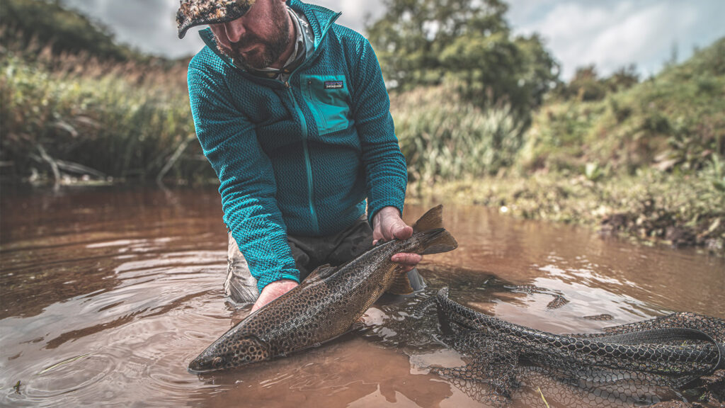 Practical Dry Fly Fishing Tips - Guide Flyfishing