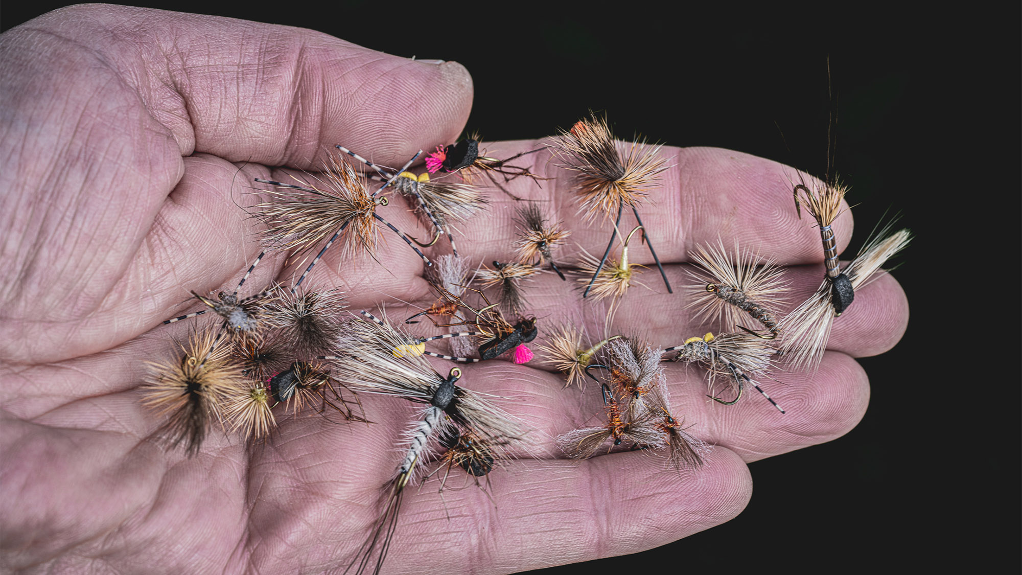 Practical Dry Fly Fishing Tips - Guide Flyfishing