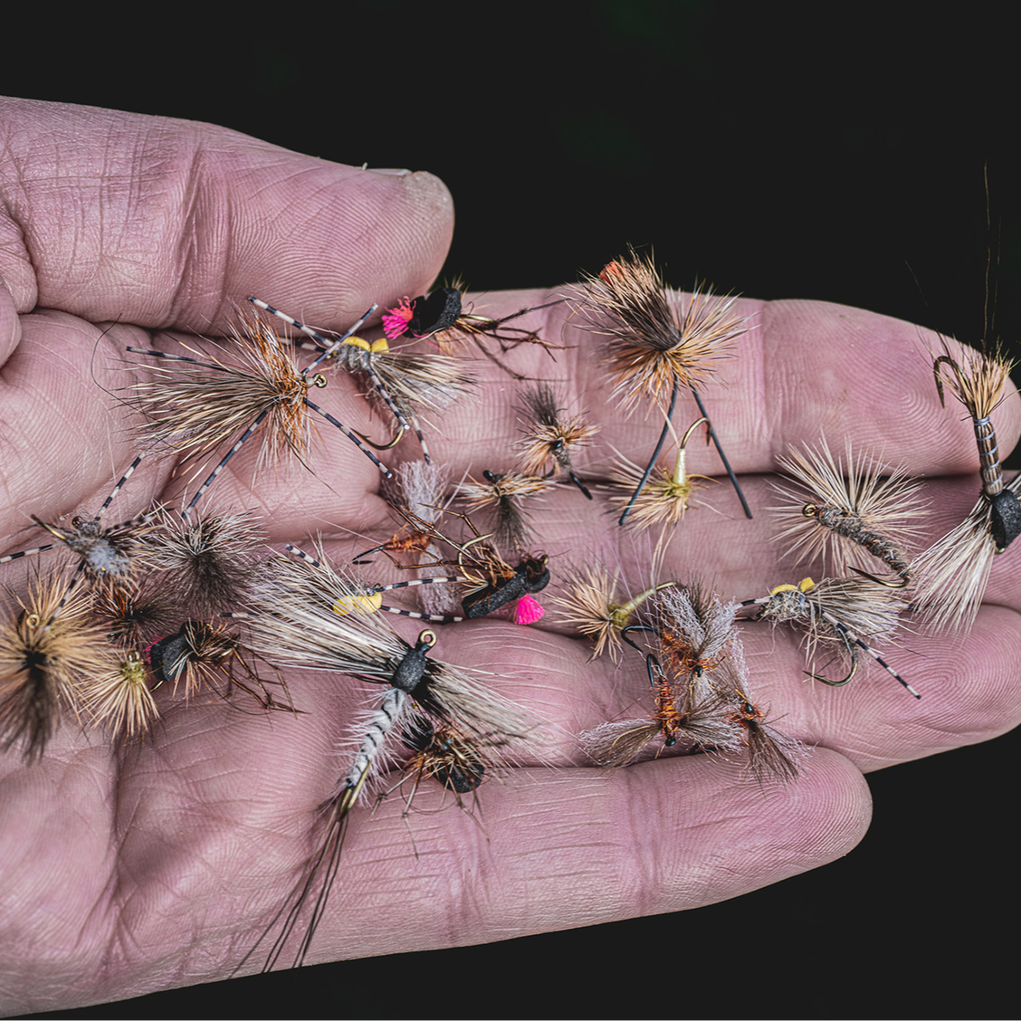 Practical Dry Fly Fishing Tips - Guide Flyfishing