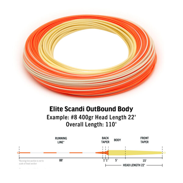 RIO Elite Scandi OutBound Body – Upgraded - Guide Flyfishing