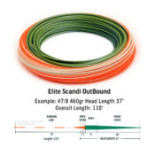 RIO Elite Scandi OutBound – Upgraded - Guide Flyfishing