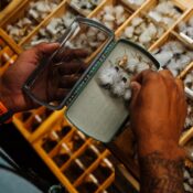 Tacky Pescador Fly Box Clear - Guide Flyfishing