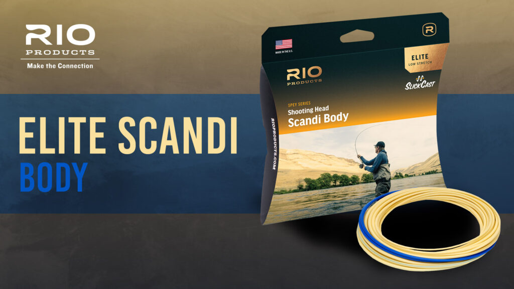 The Ultimate Scandi Shooting Head – RIO Elite Scandi Body - Guide Flyfishing